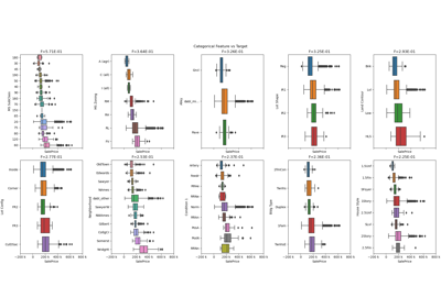 Ames Housing Dataset Visualization